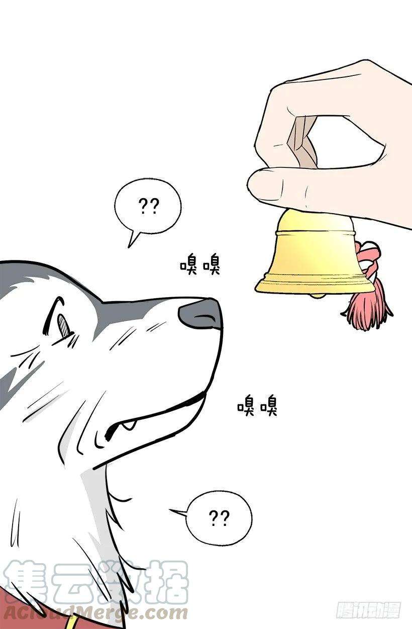 41.jpg
