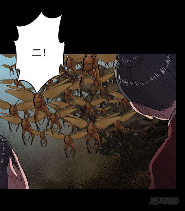 19.jpg