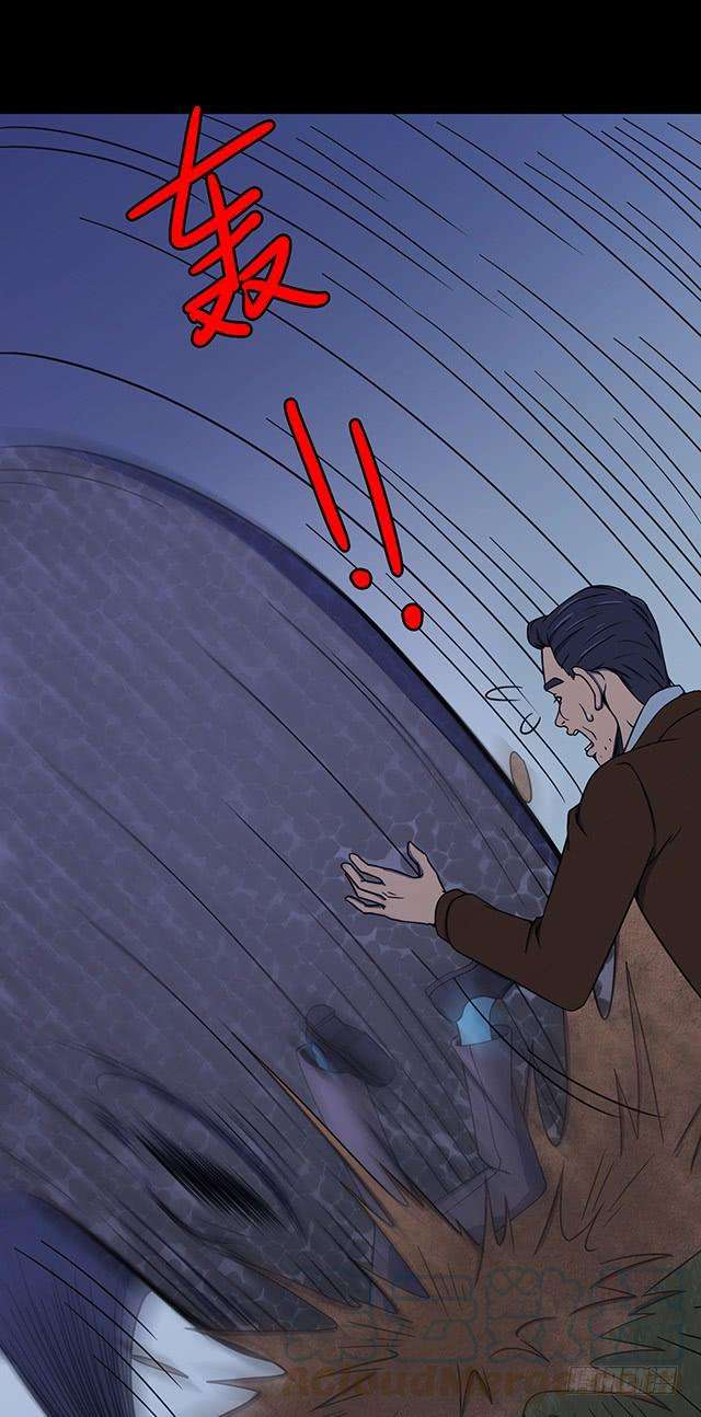 57.jpg
