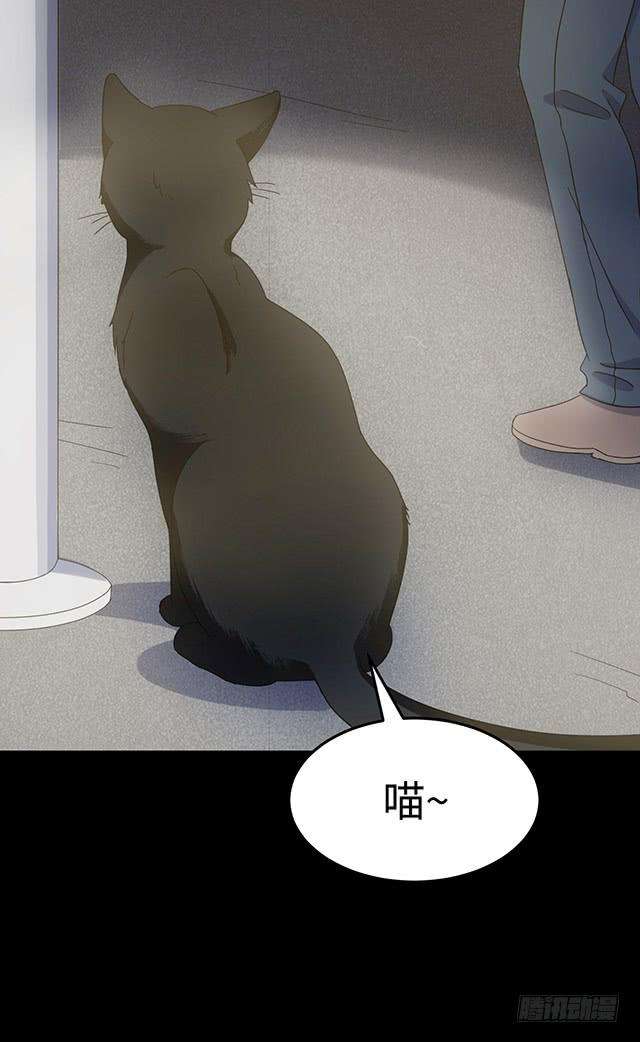 53.jpg