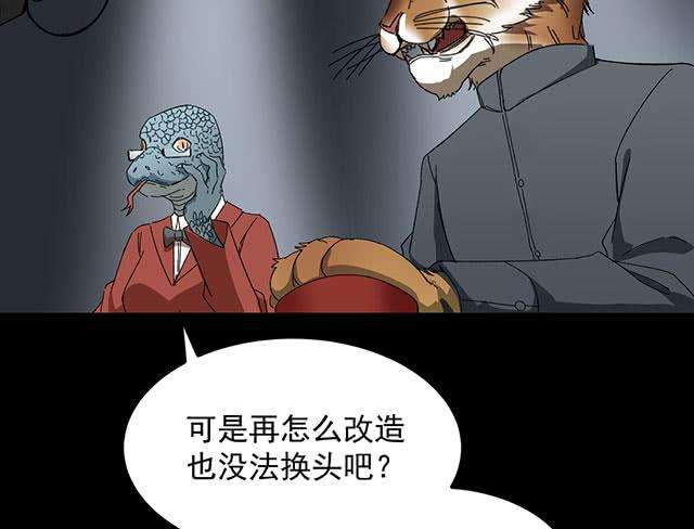 51.jpg