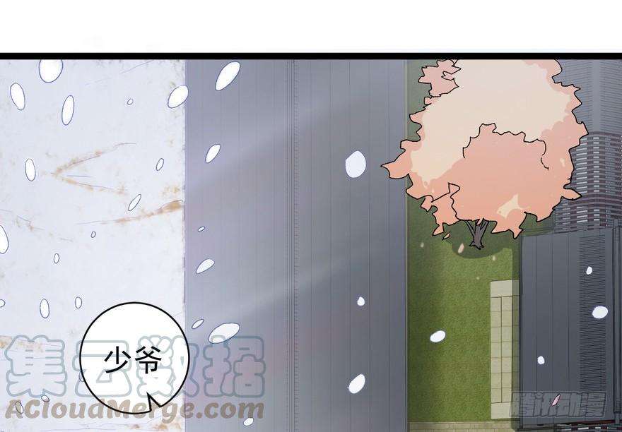 53.jpg