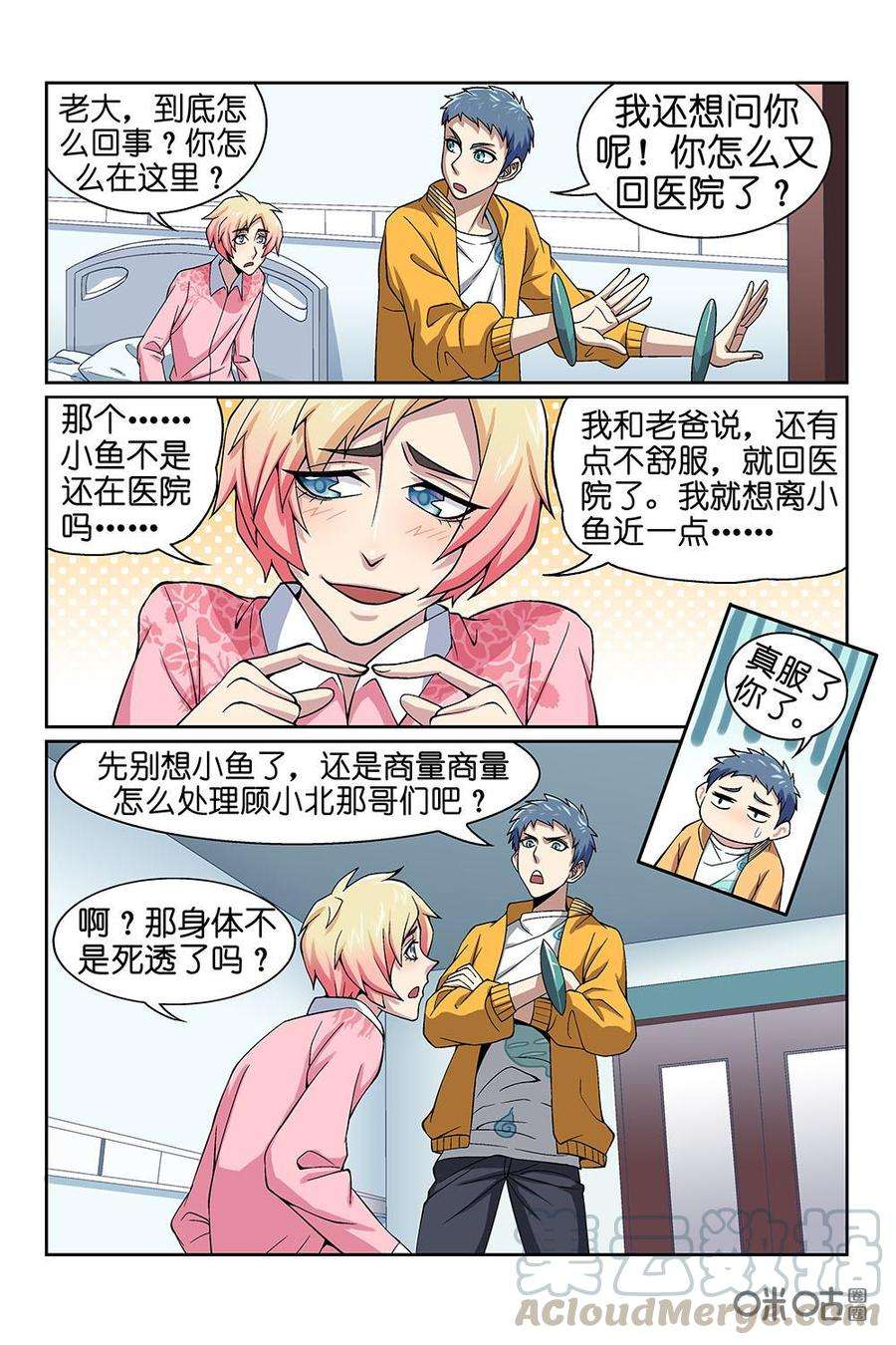 5.jpg