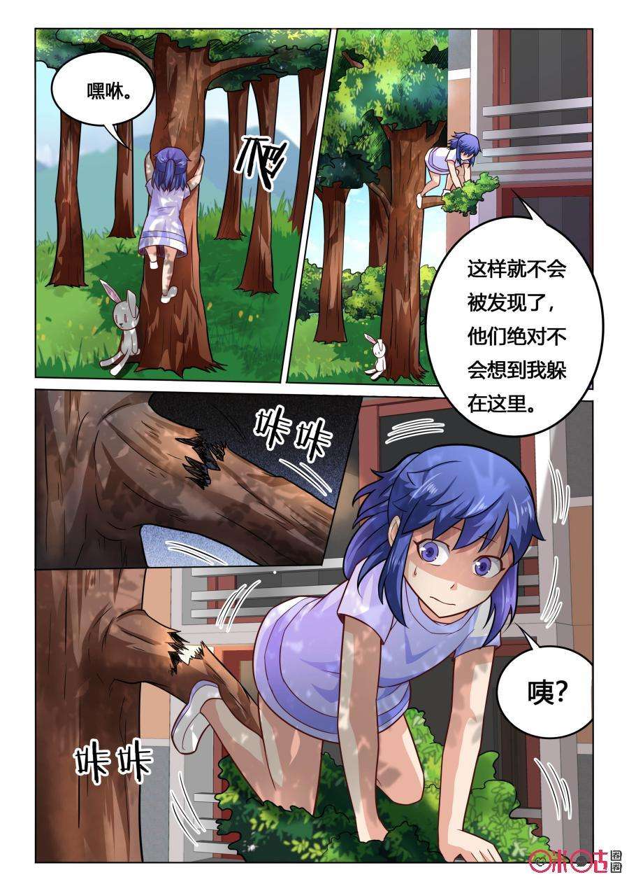 8.jpg