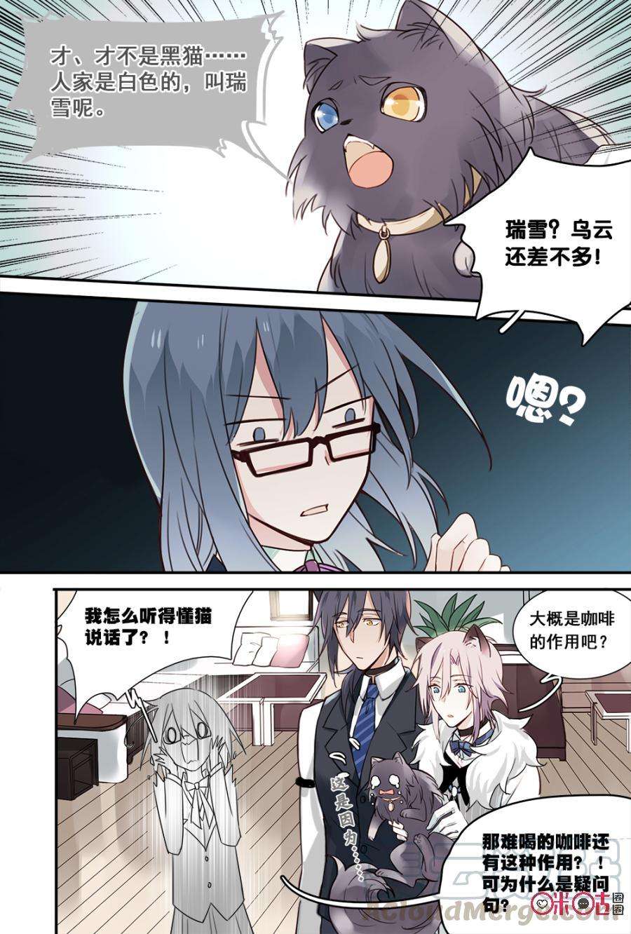 5.jpg