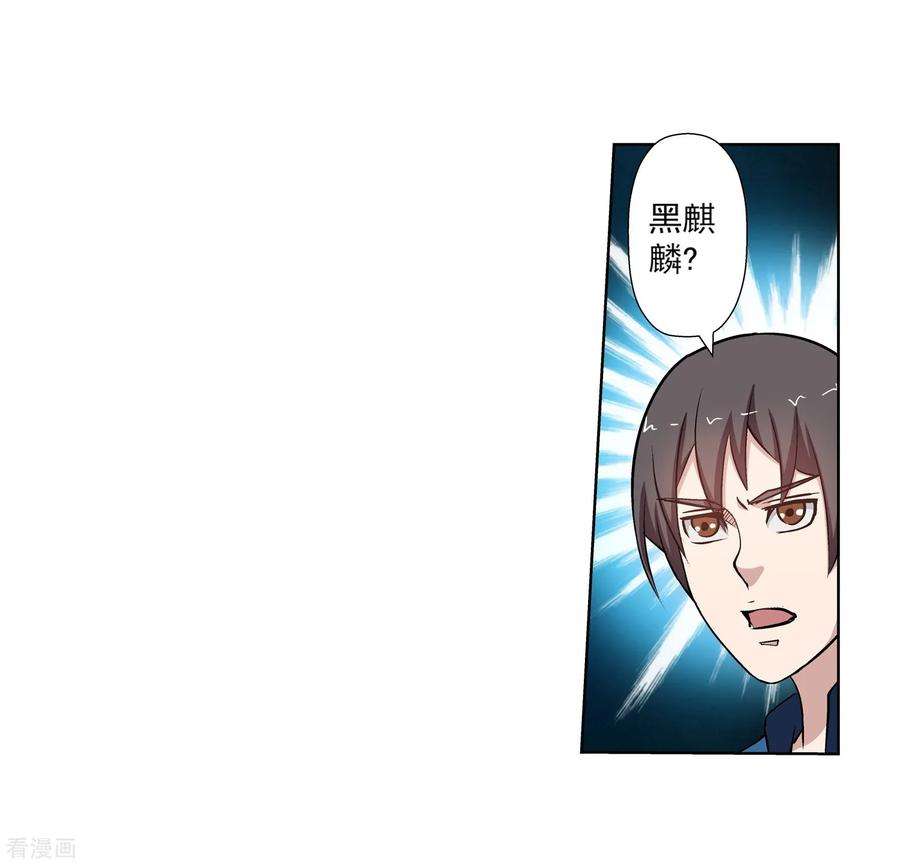 51.jpg