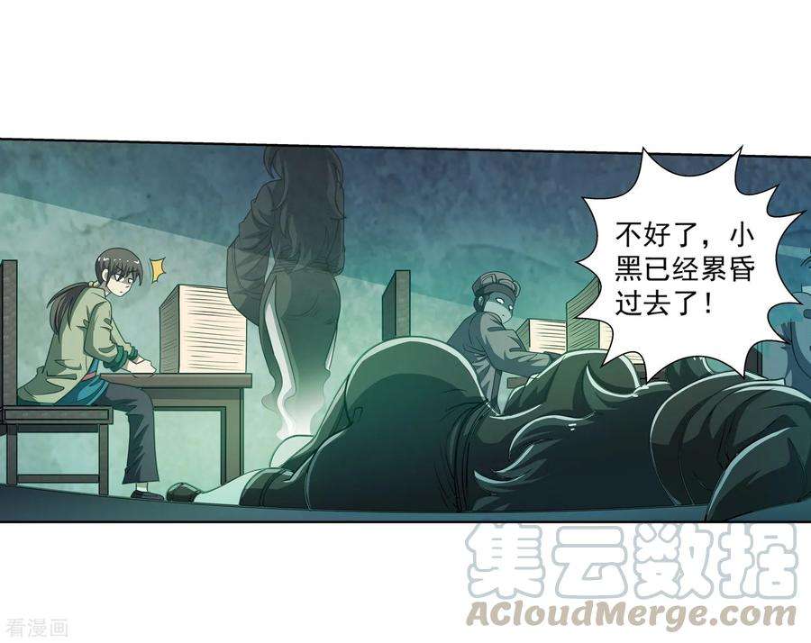 16.jpg