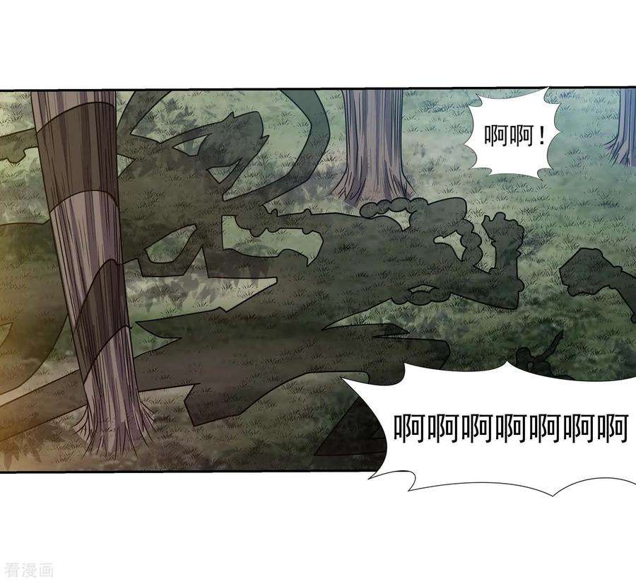 31.jpg