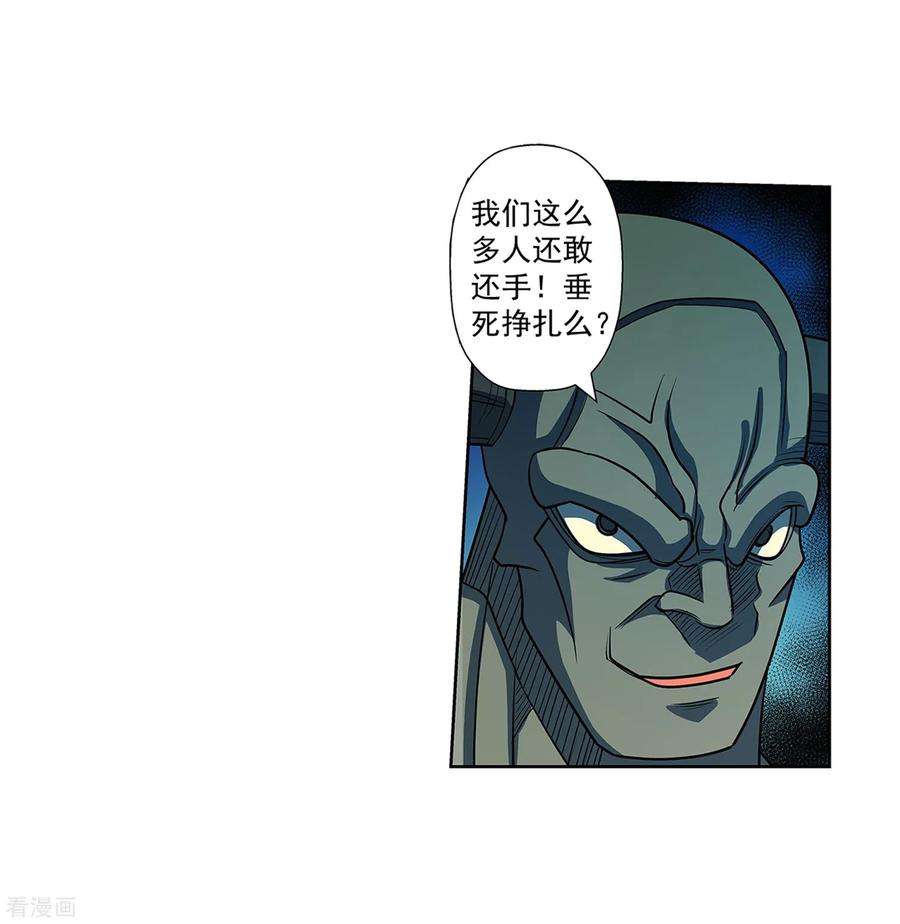 11.jpg