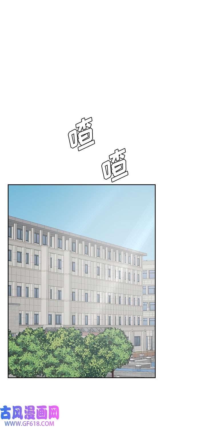 46.jpg