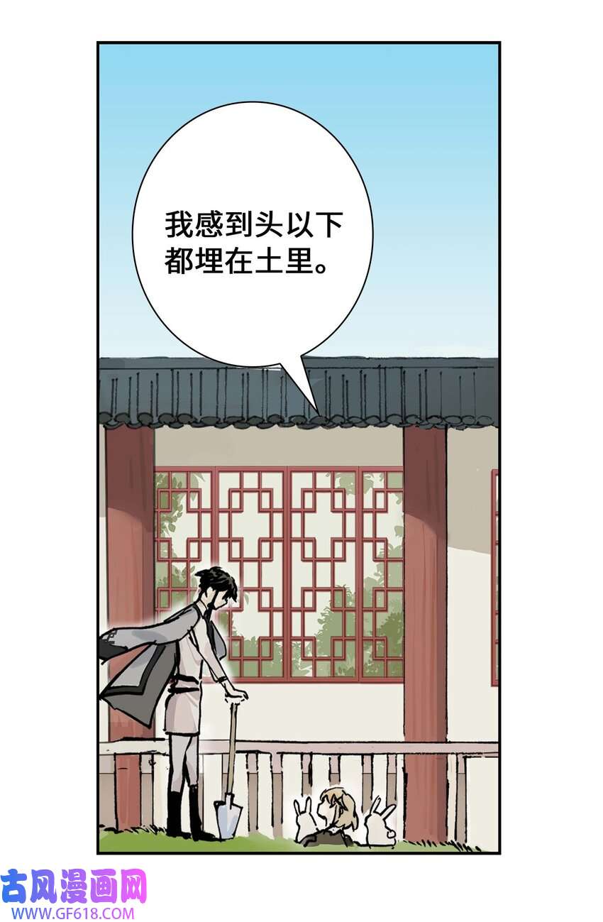35.jpg