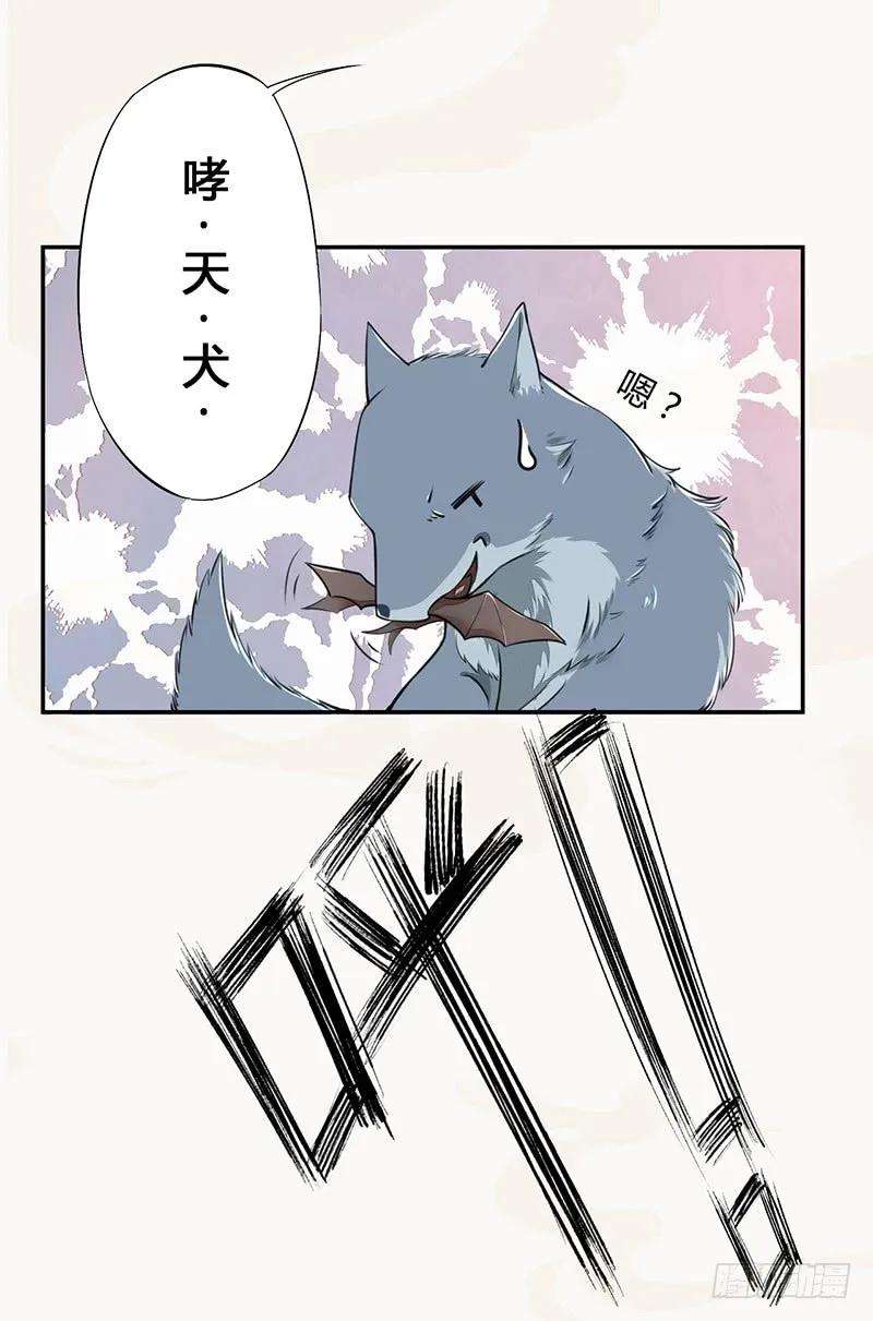 29.jpg