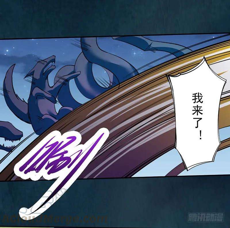 29.jpg