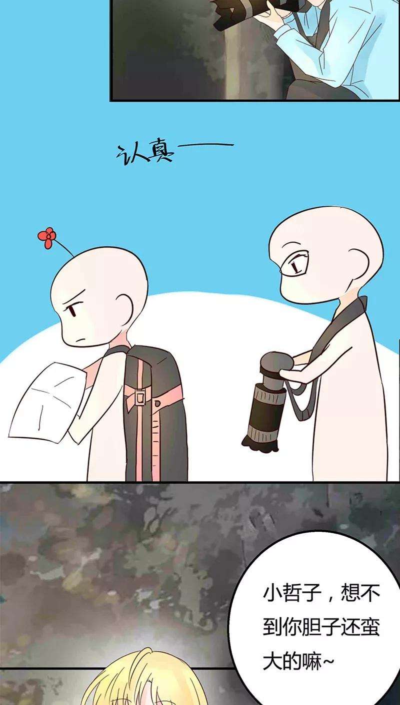 12.jpg
