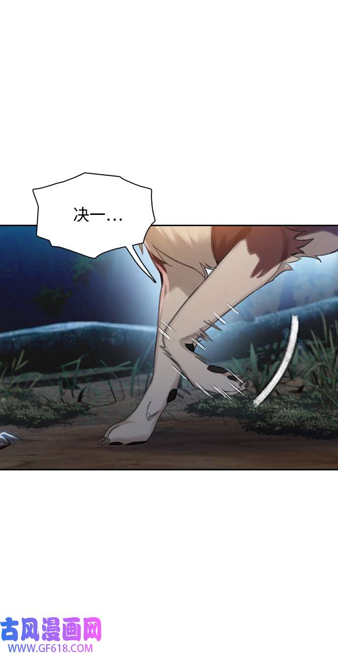 47.jpg