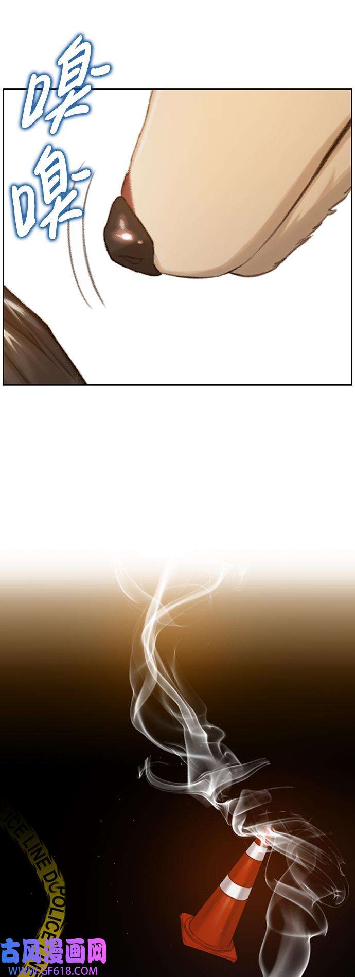 37.jpg