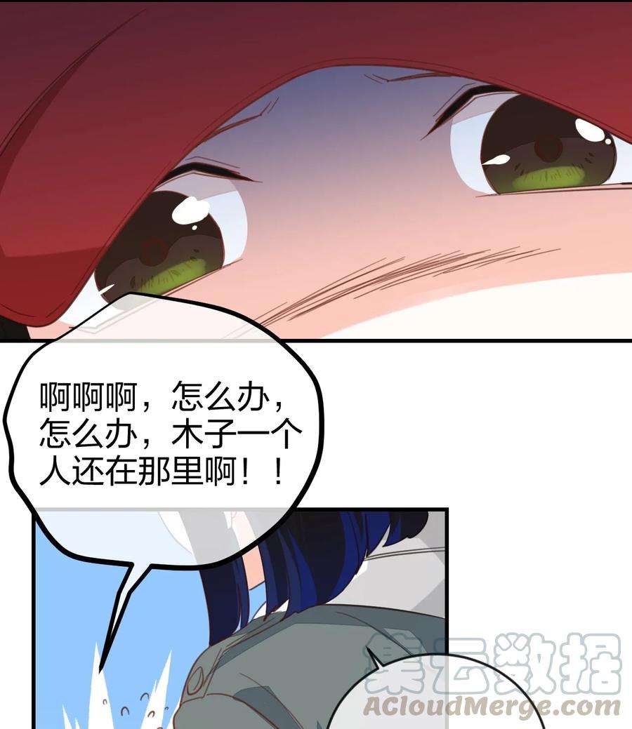 41.jpg