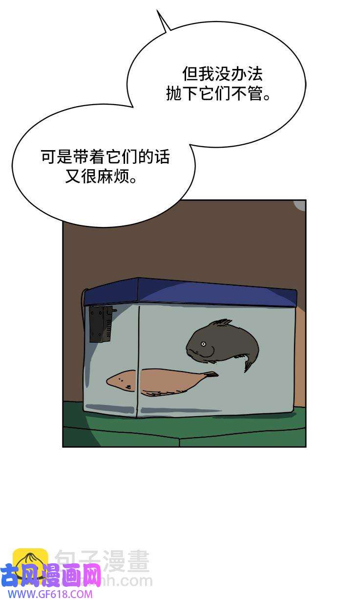 45.jpg