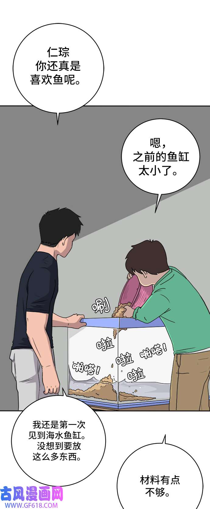 13.jpg