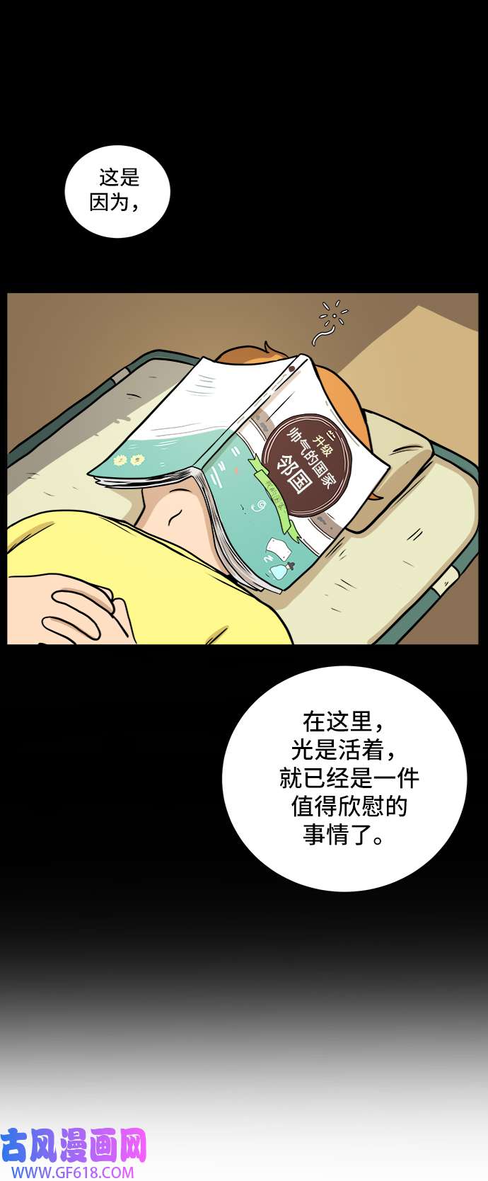 31.jpg