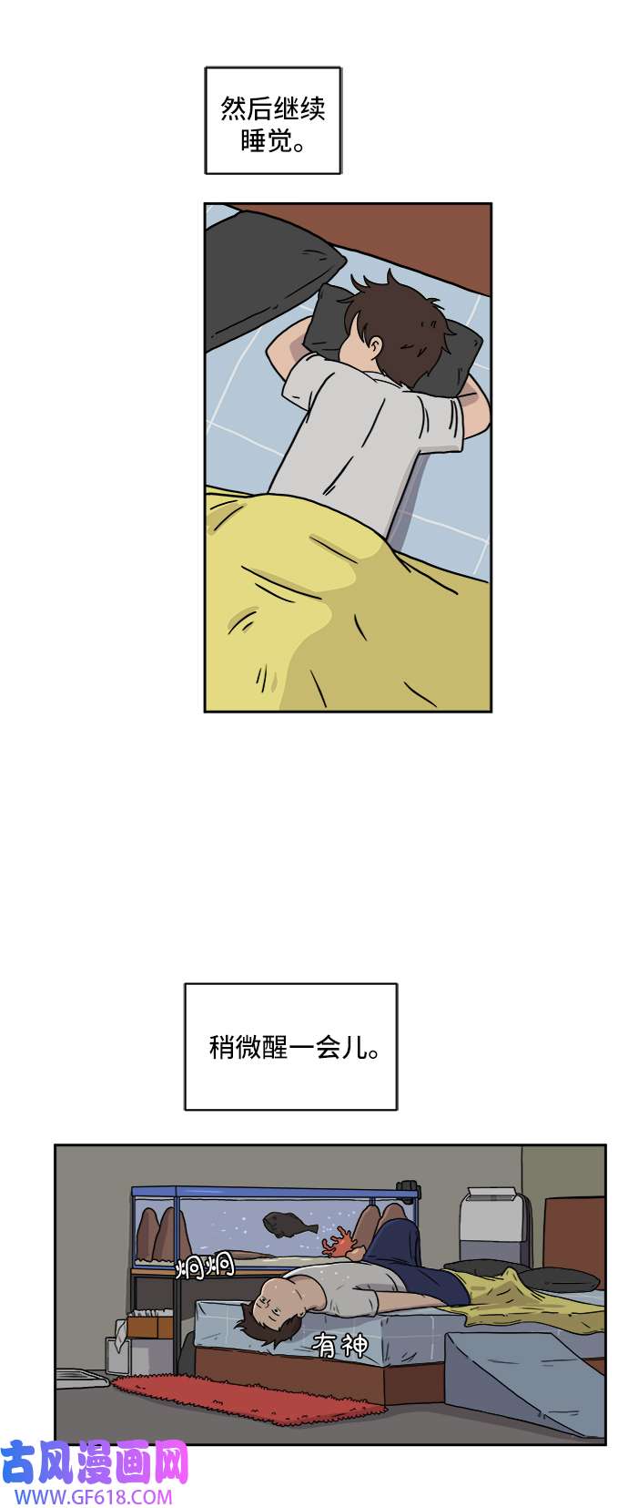 13.jpg
