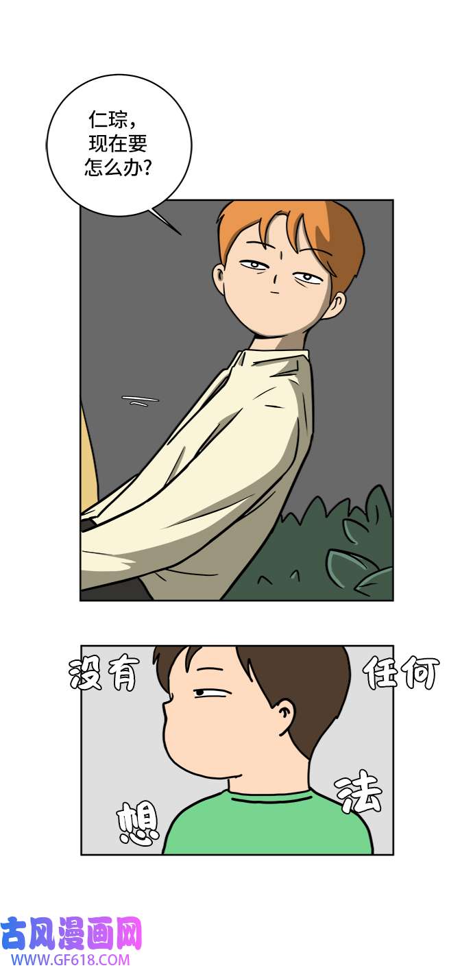 41.jpg