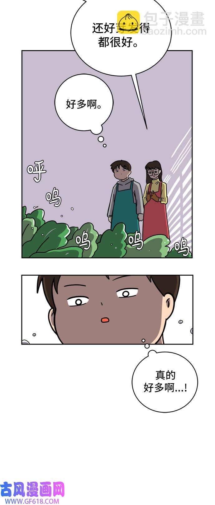 40.jpg