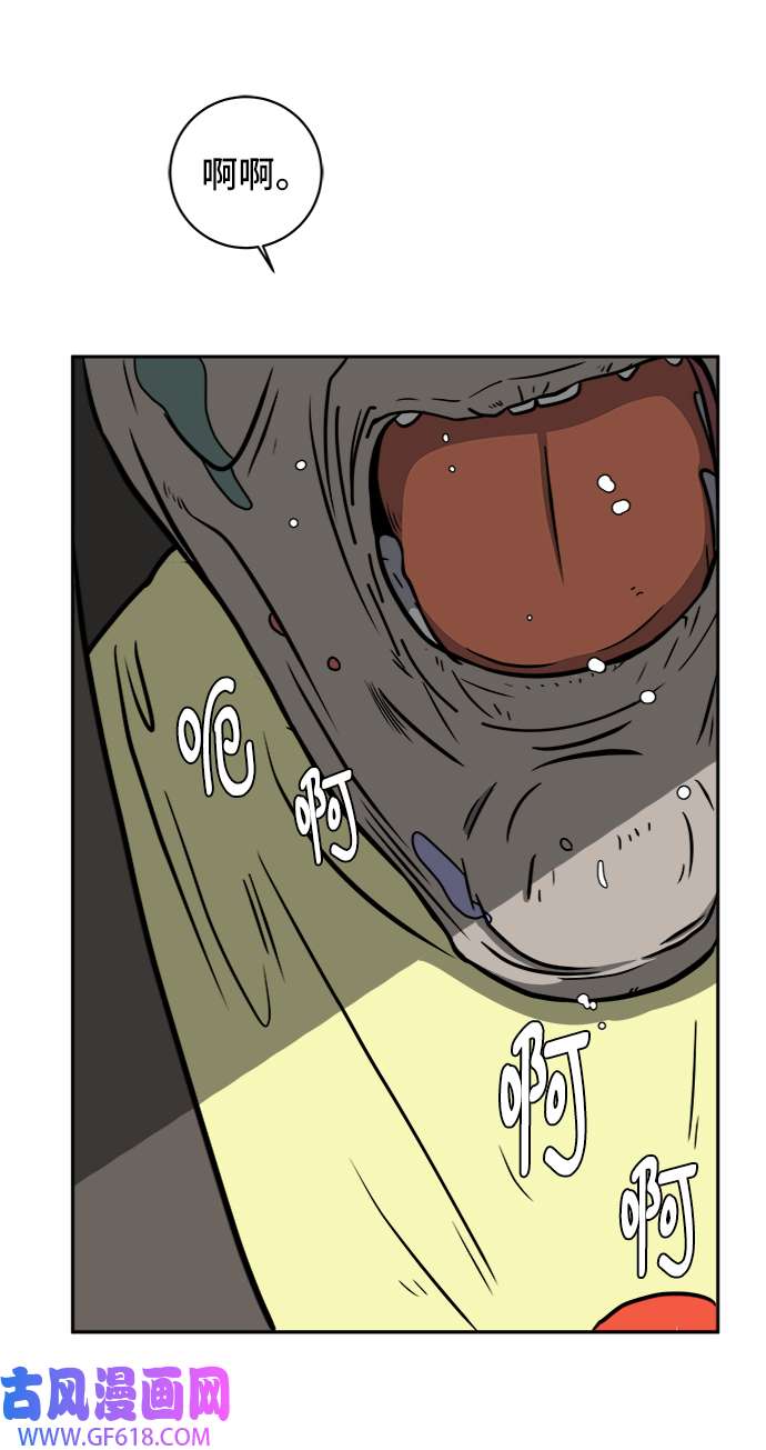 41.jpg