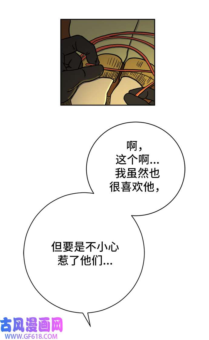 14.jpg