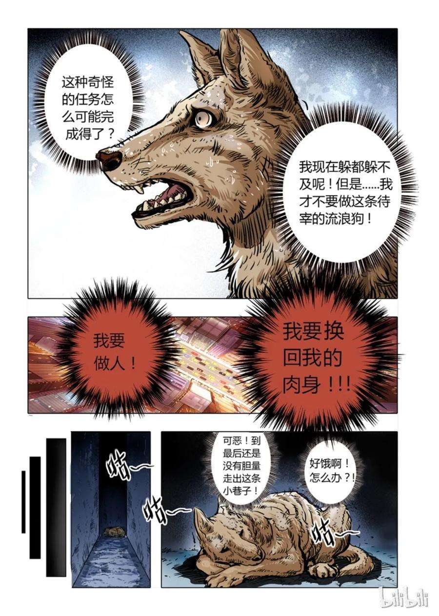 8.jpg