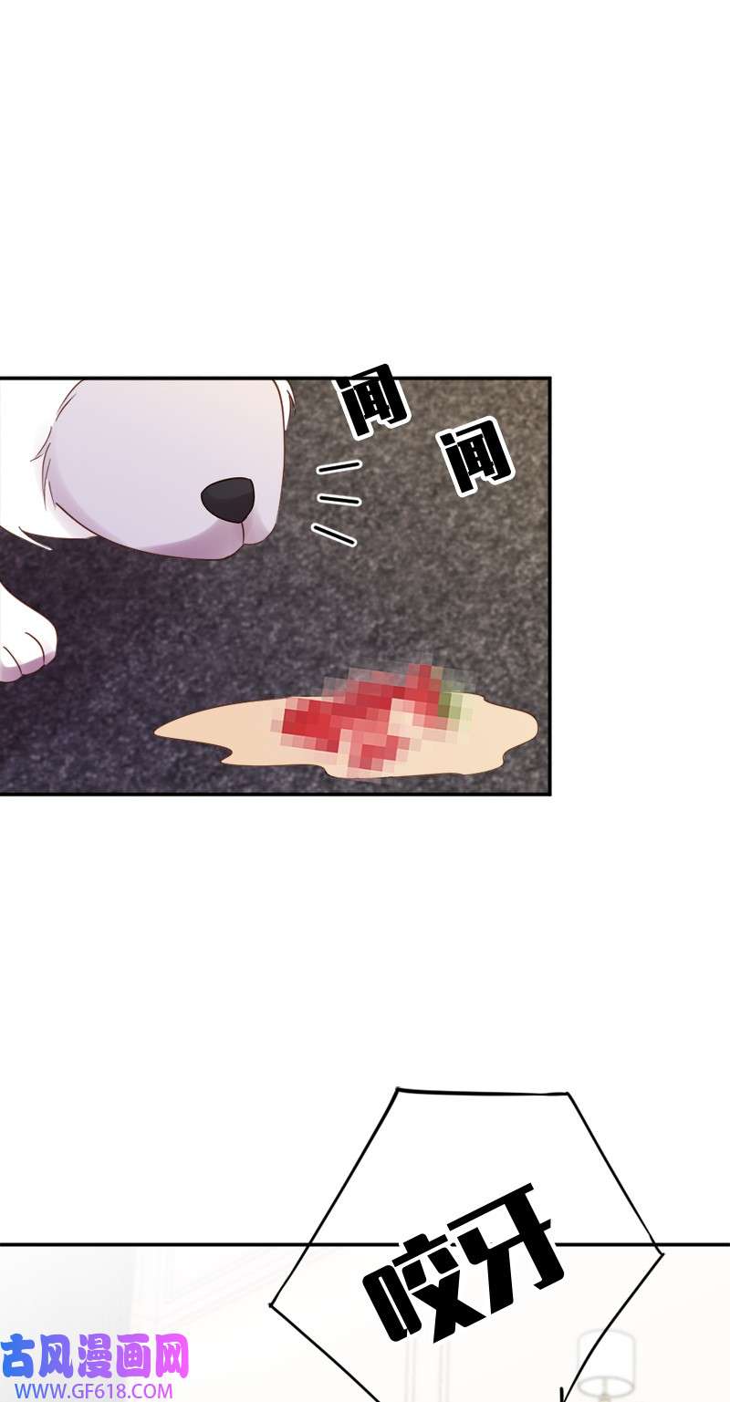 50.jpg