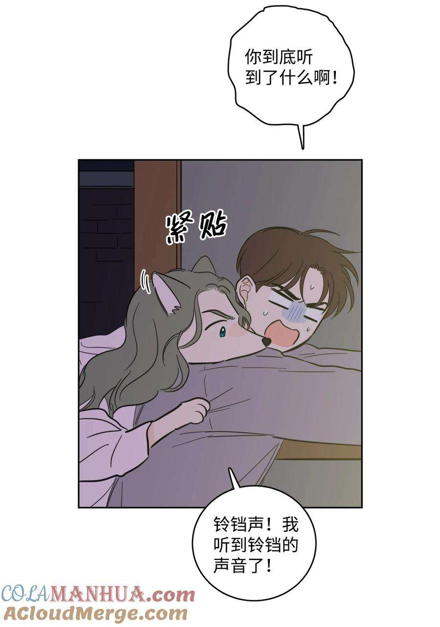 43.jpg