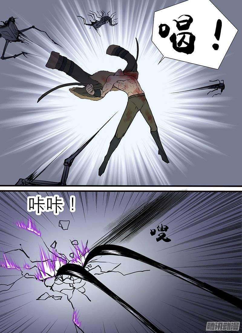 12.jpg