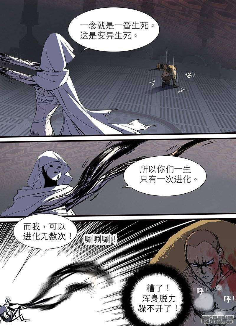 13.jpg