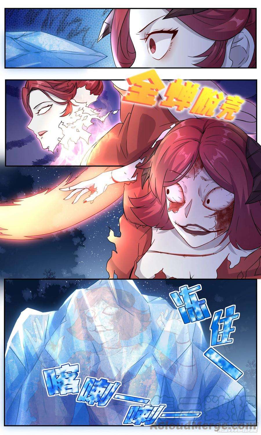13.jpg