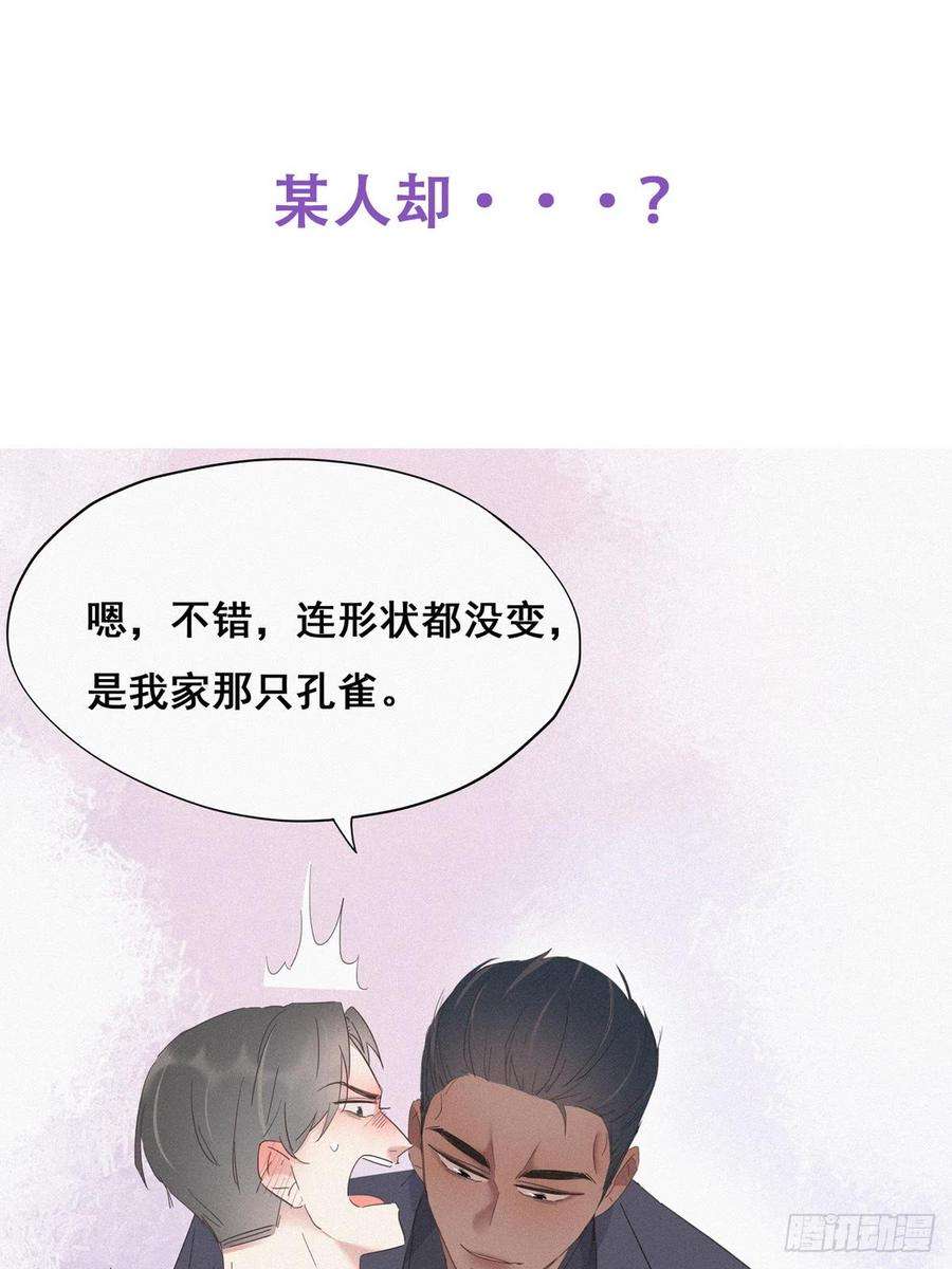 51.jpg
