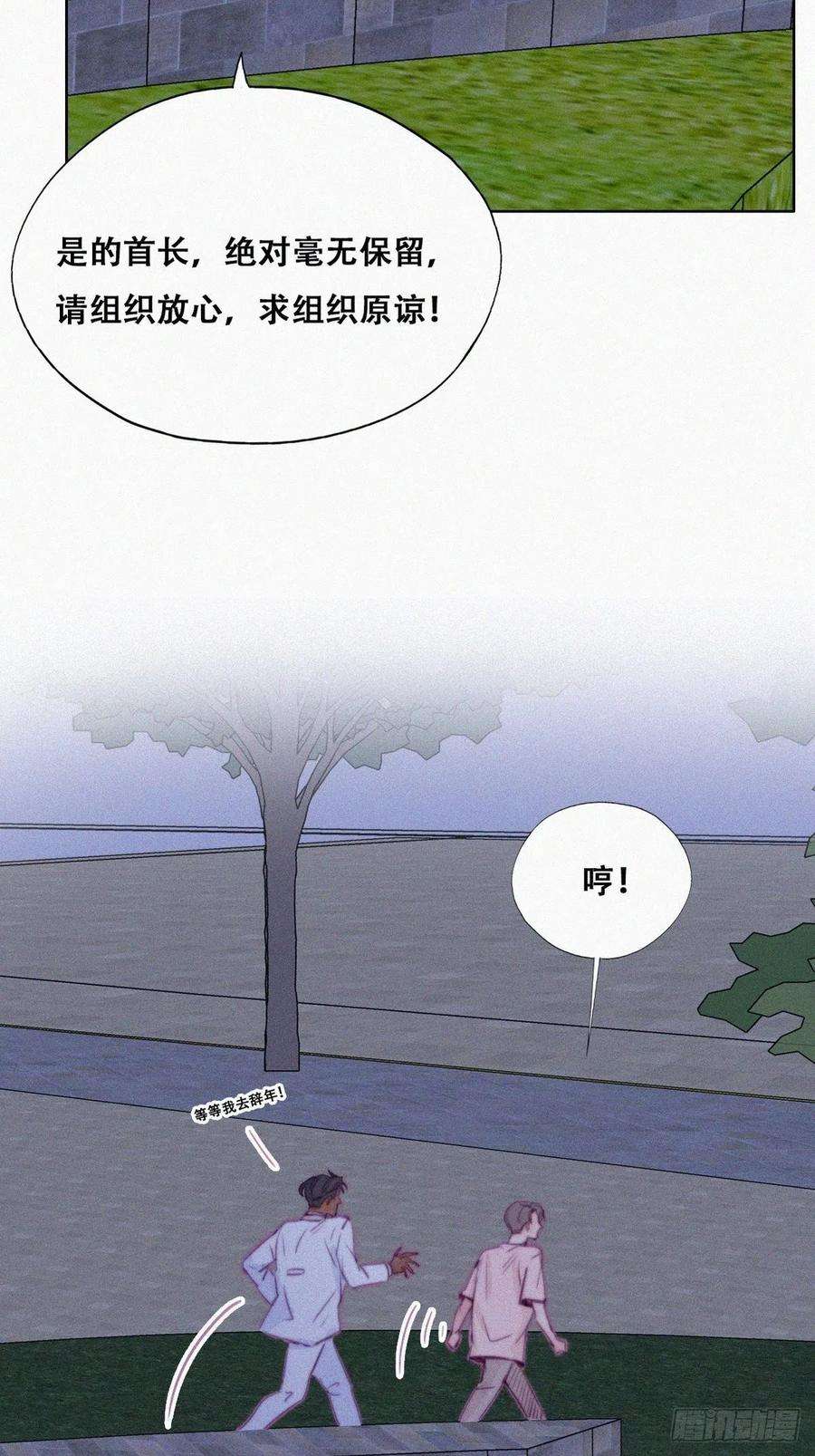 35.jpg