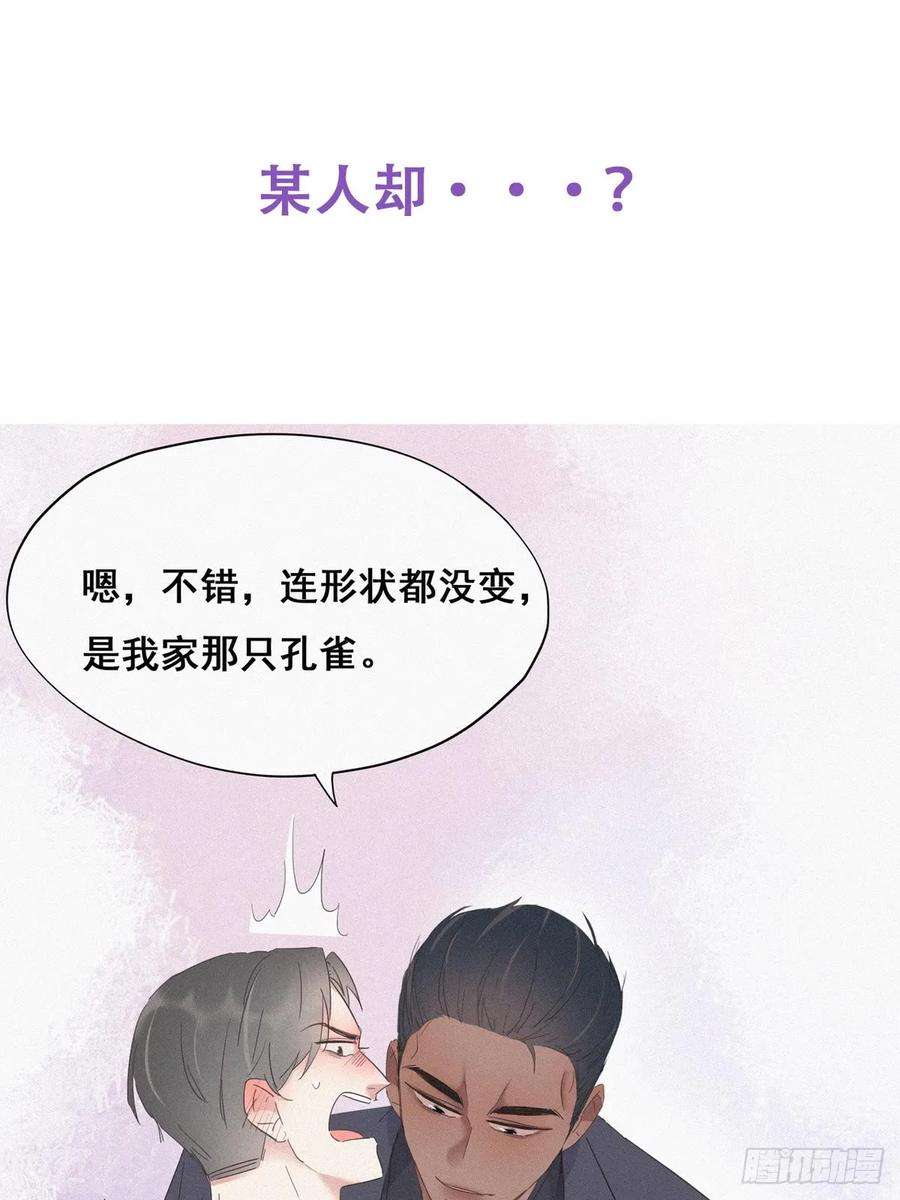 51.jpg