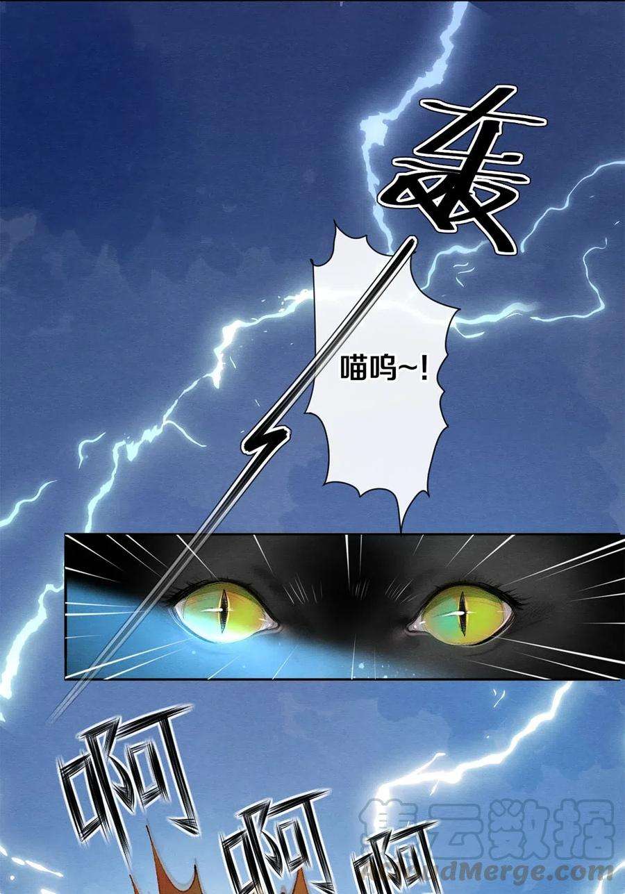 25.jpg
