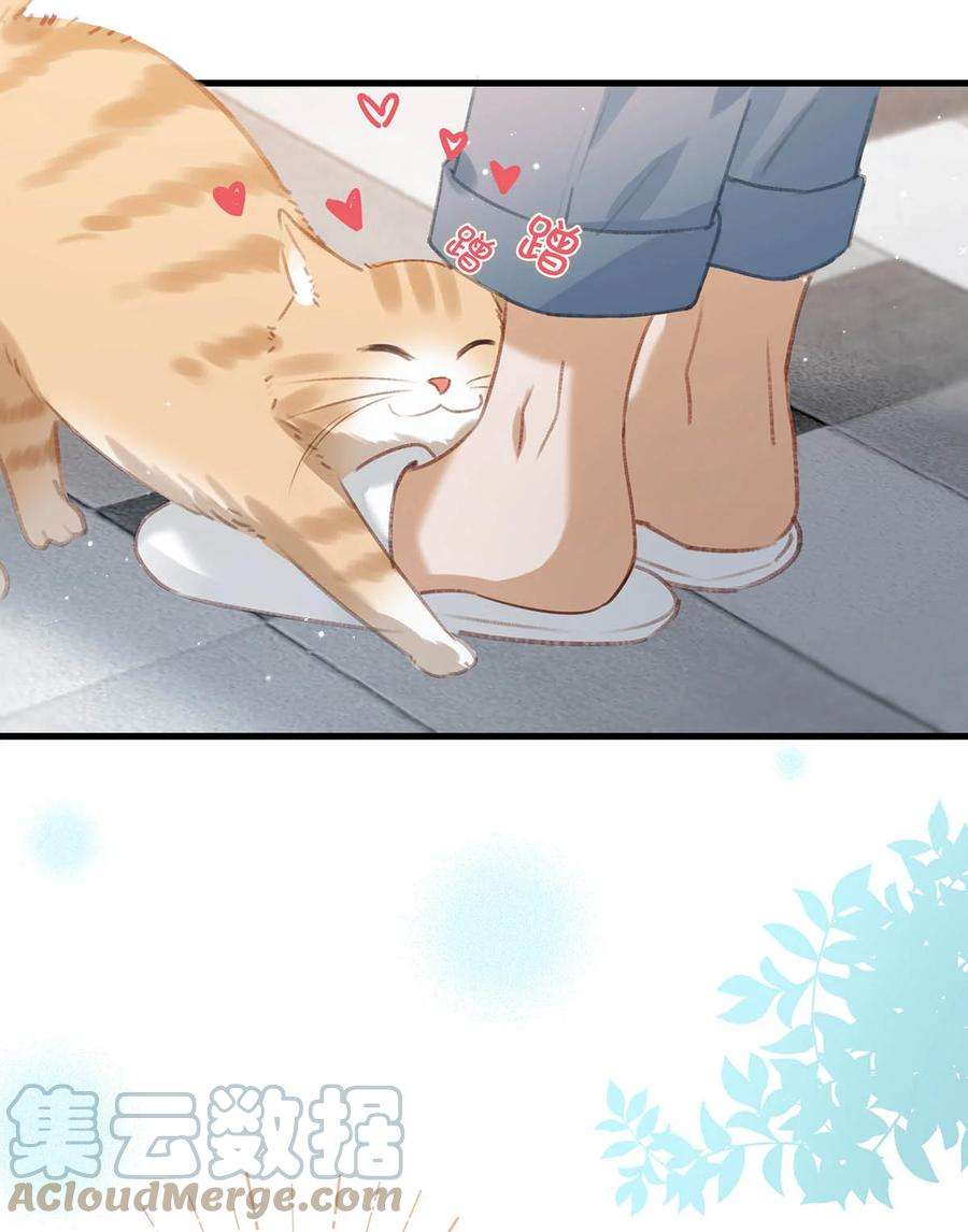 31.jpg