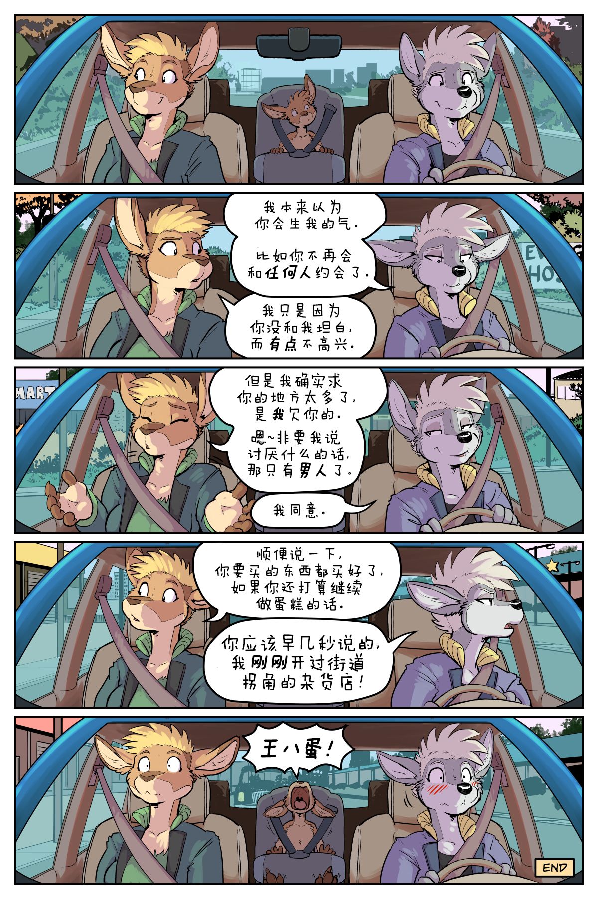 20.jpg