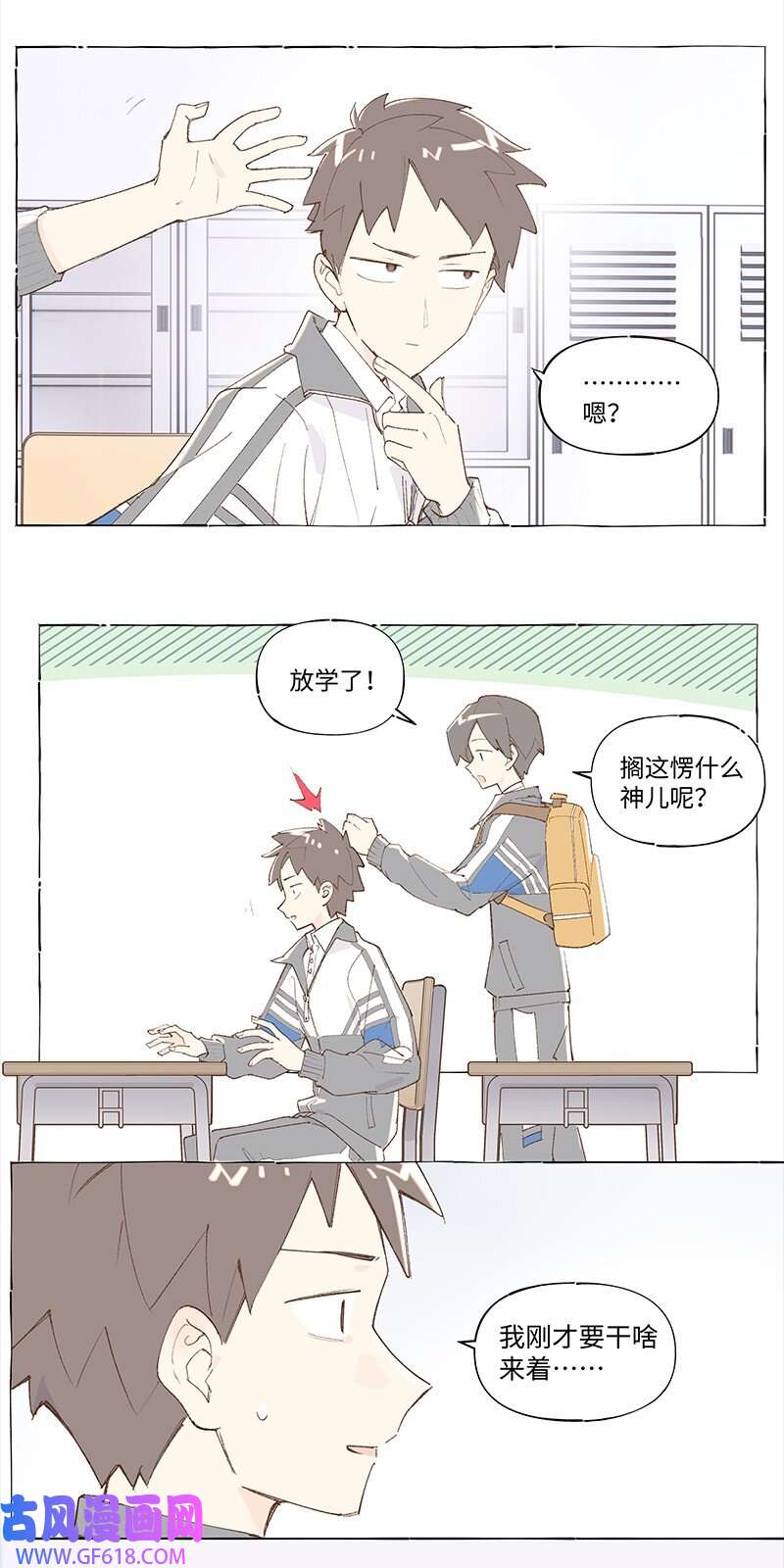 11.jpg