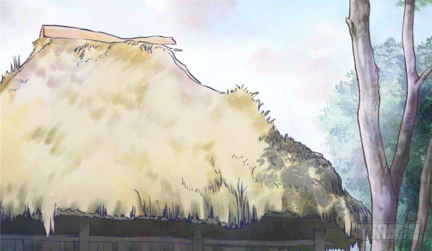 55.jpg