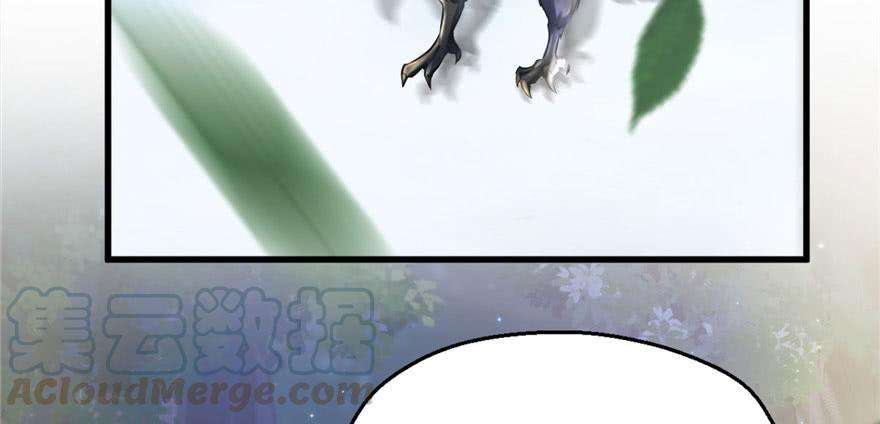 51.jpg