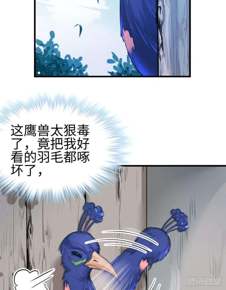 31.jpg