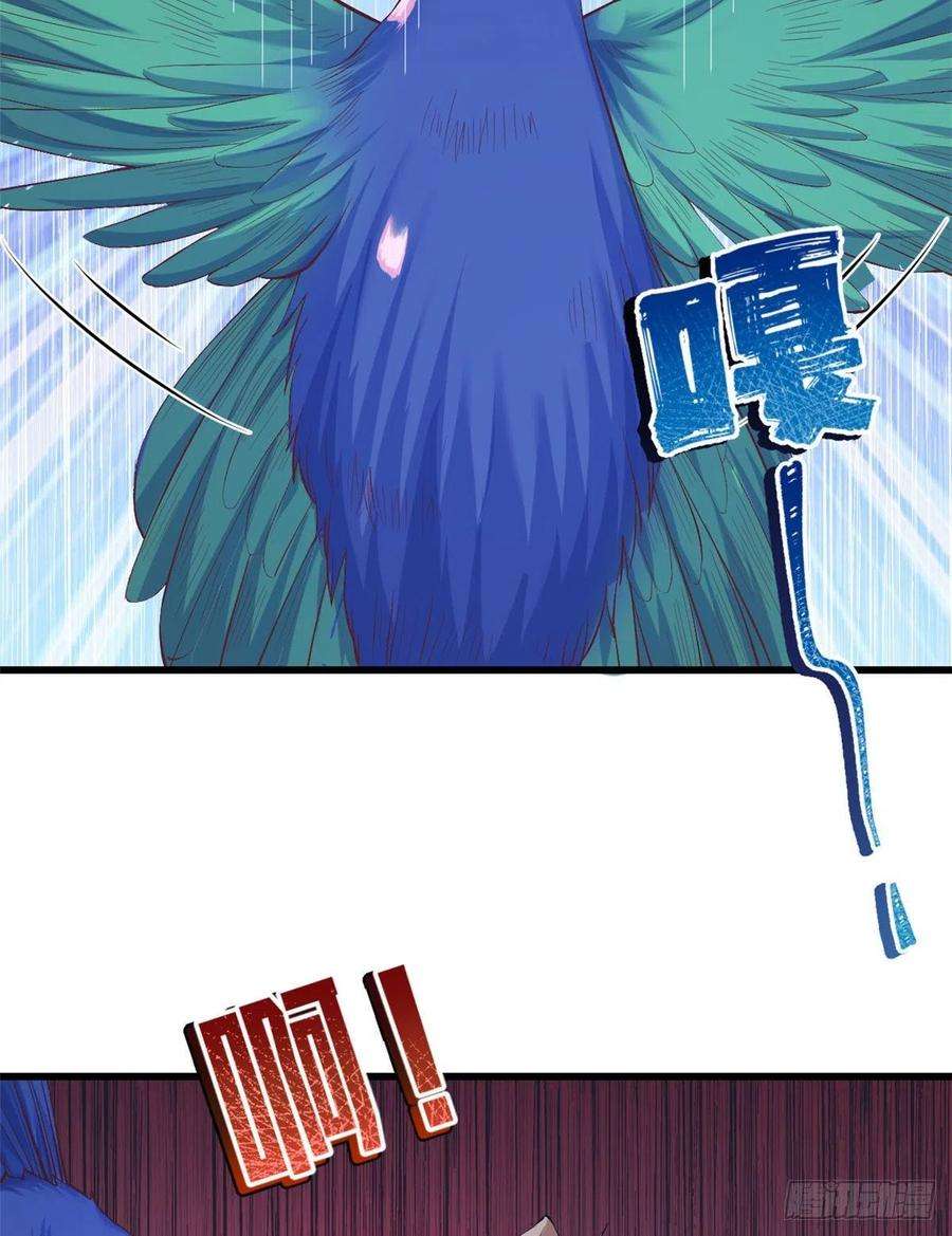 33.jpg