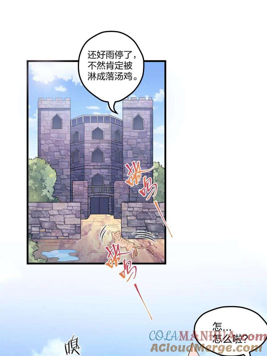 43.jpg