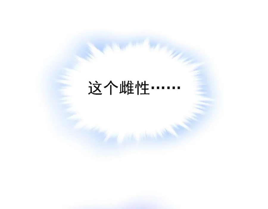 96.jpg