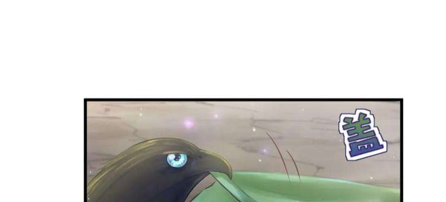 50.jpg