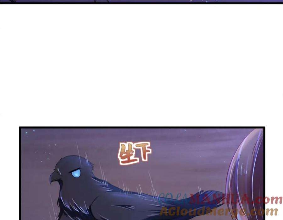 81.jpg